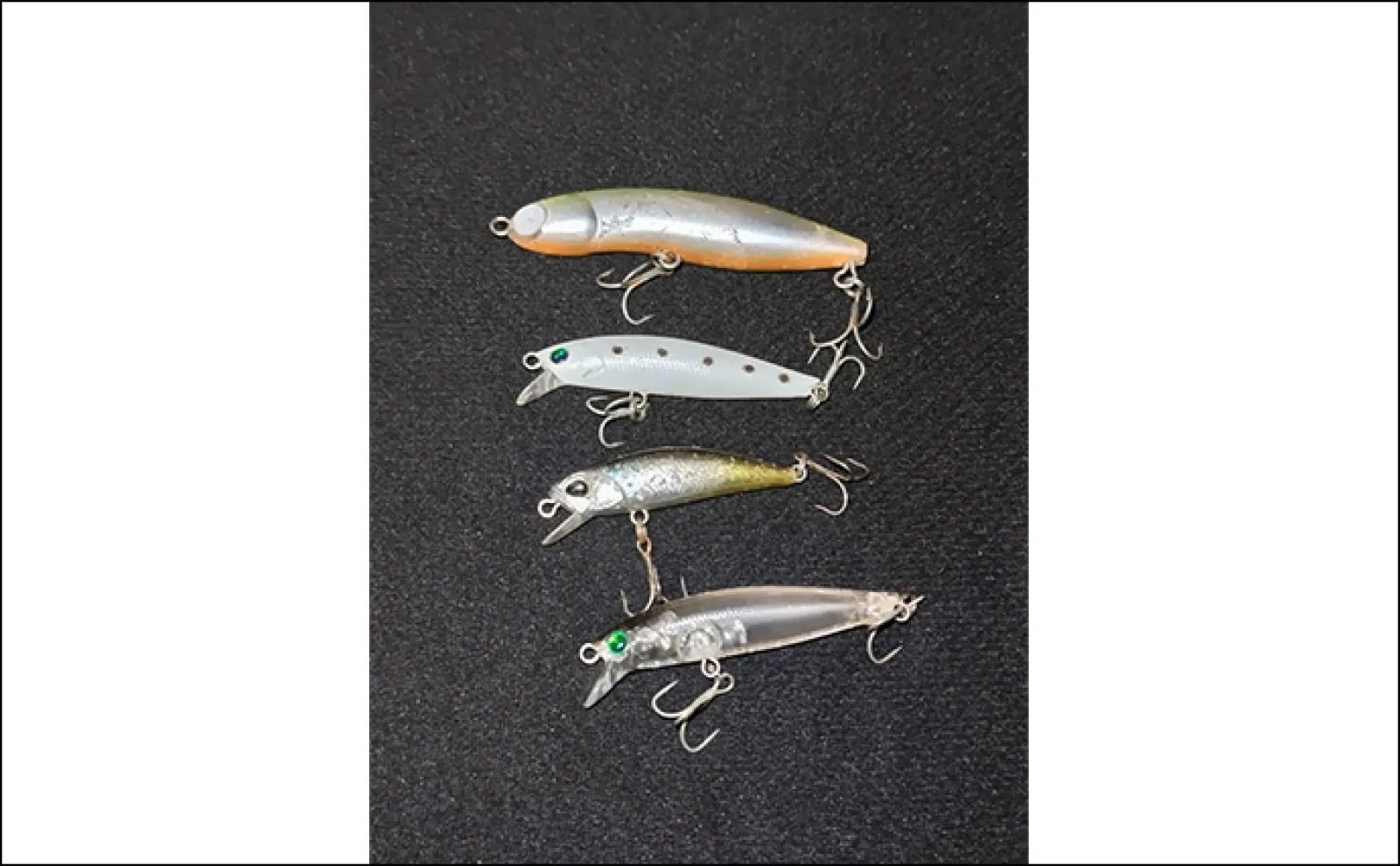 河川のルアーシーバス釣行で65cm&55cm良型シーバスをキャッチ【千葉】