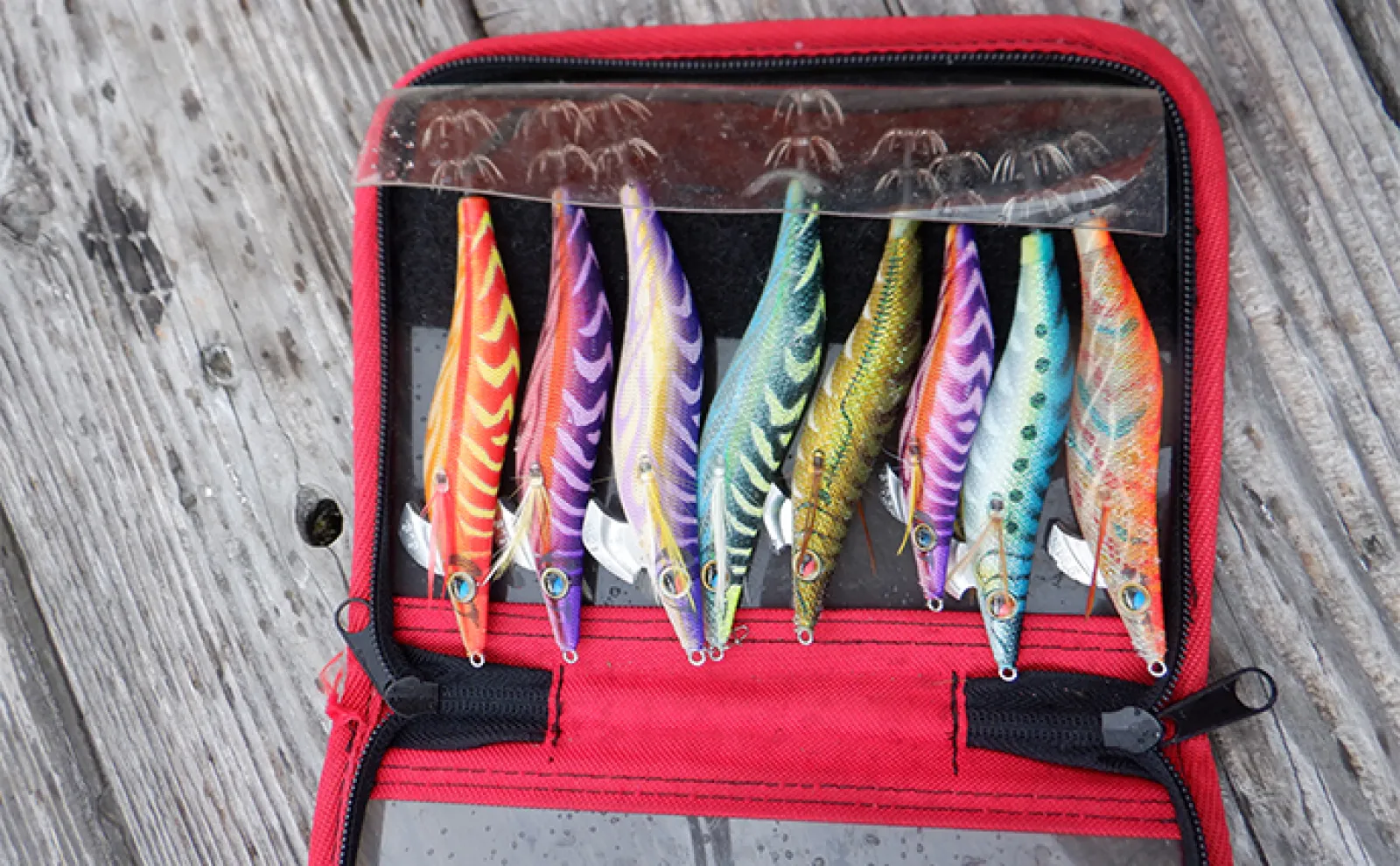 イカダからアオリイカを狙う3つの釣法を解説 【ヤエン・エギング