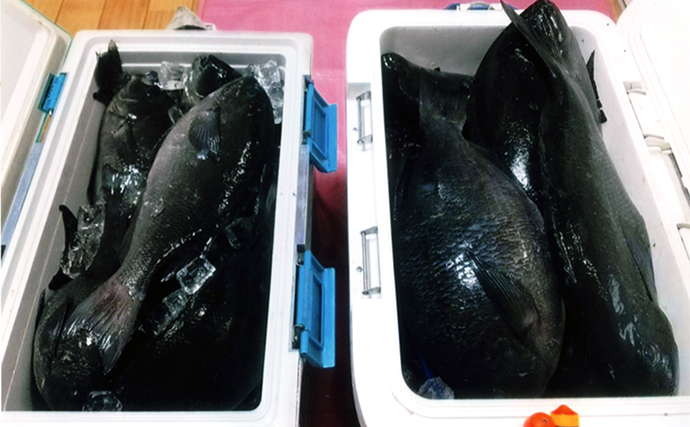 絶版　原西フィッシング倶楽部　メッシュ　黒　釣り　未使用　受注限定販売 釣具のつり吉オンラインショップ,釣具のつり吉 Tsurikichi Fishing Web