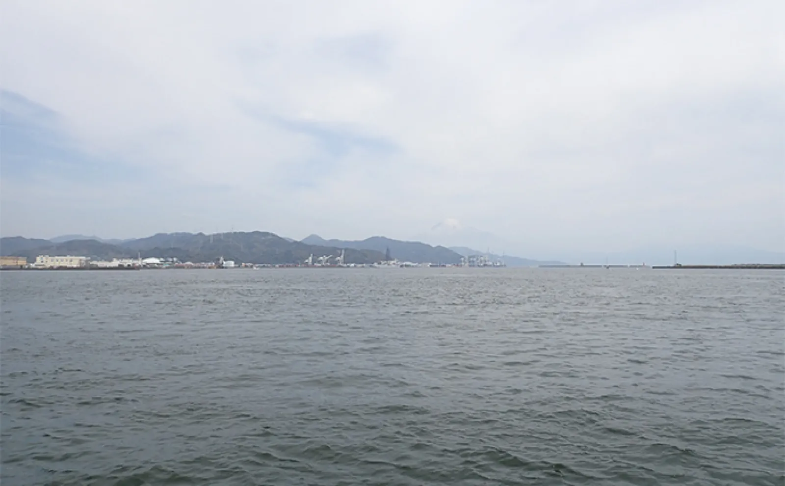 乗っ込みクロダイ狙いのフカセ釣りで47cm頭に5枚キャッチ【静岡・清水港】
