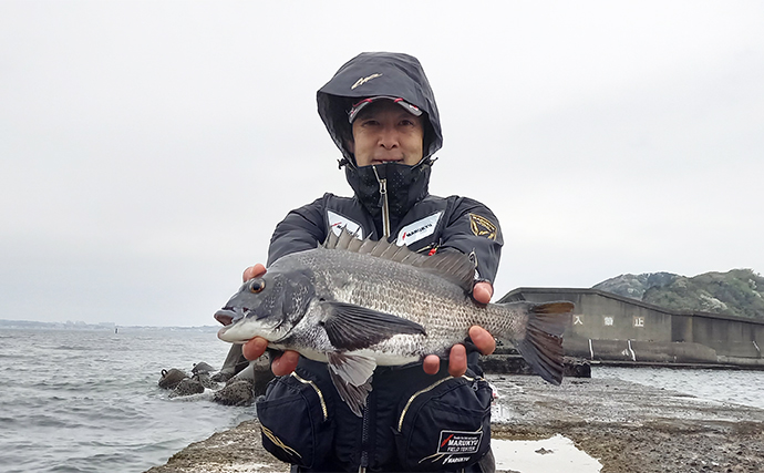 久里浜の東電防波堤でのフカセ釣り大会で良型クロダイが続々顔出し