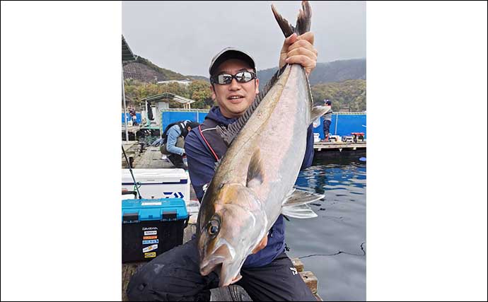 海上釣り堀でカンパチにワラサと青物を連打【三重・和光】放流タイムが