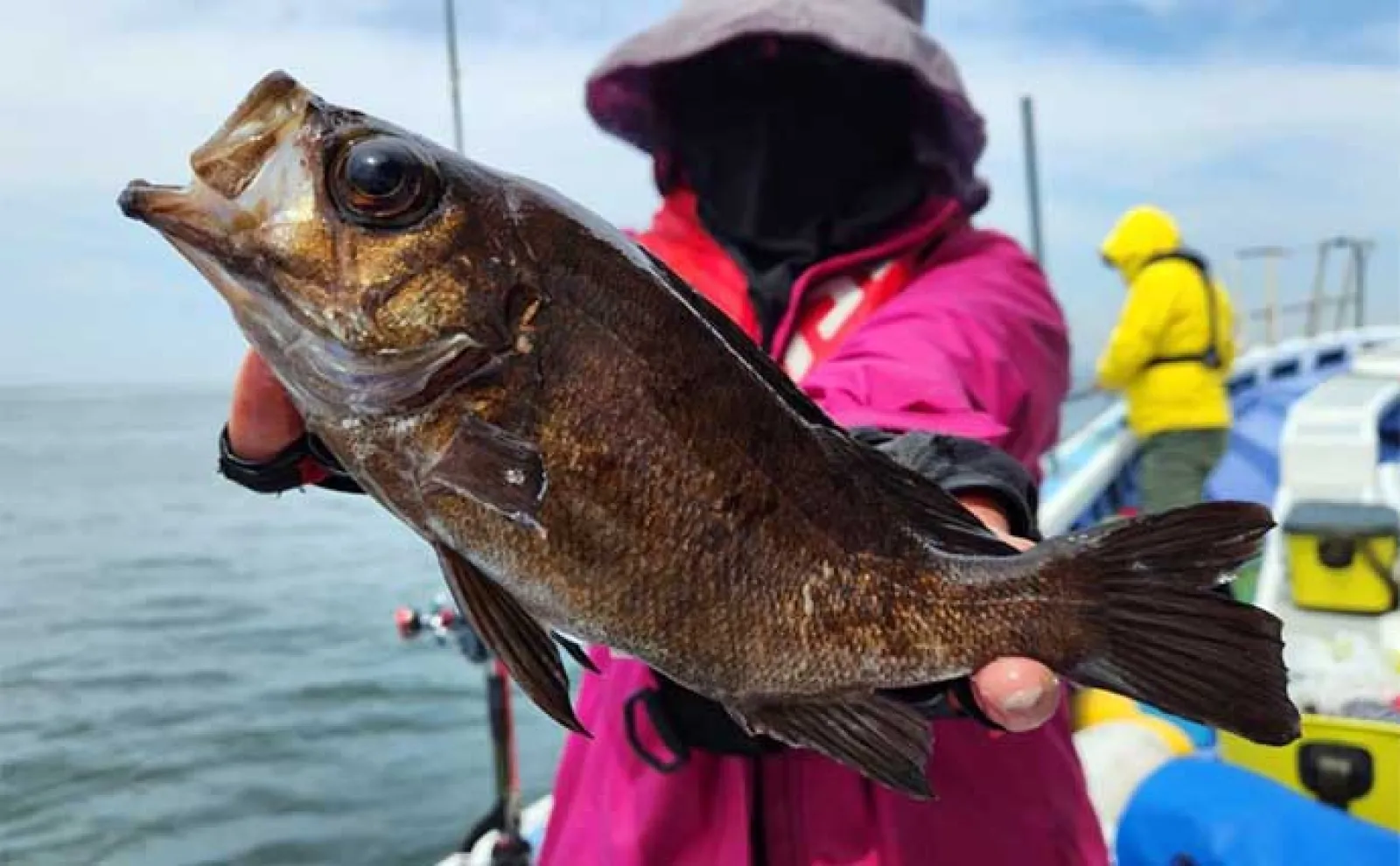 【沖釣り釣果速報】トンジギ便でカツオ混じりに本命マグロ好ヒット中(愛知)