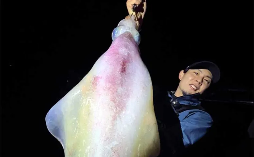 種子島での堤防エギング釣行で3.8kg「レッドモンスター級」アオリイカ堂々浮上