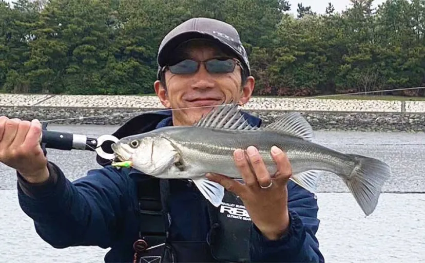 東京湾ウェーディングシーバス釣行で53cm本命手中【葛西臨海公園周辺】干潮を狙い撃ち