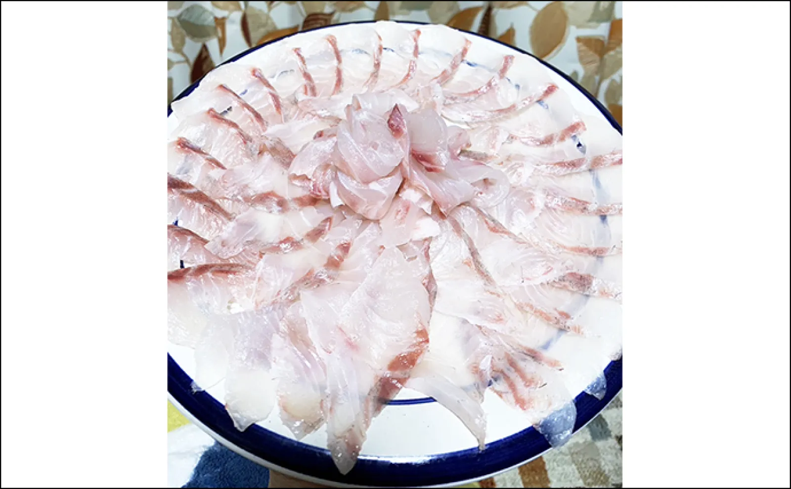 宮之浦での磯フカセ釣りで43cmクロ浮上【長崎】強気のやり取りが奏功