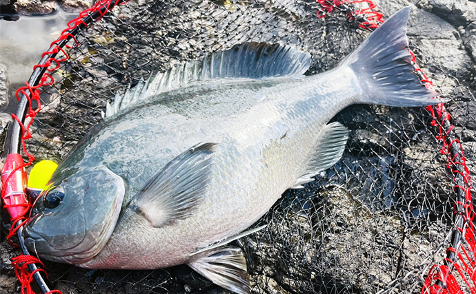 宮之浦での磯フカセ釣りで43cmクロ浮上【長崎】強気のやり取りが奏功