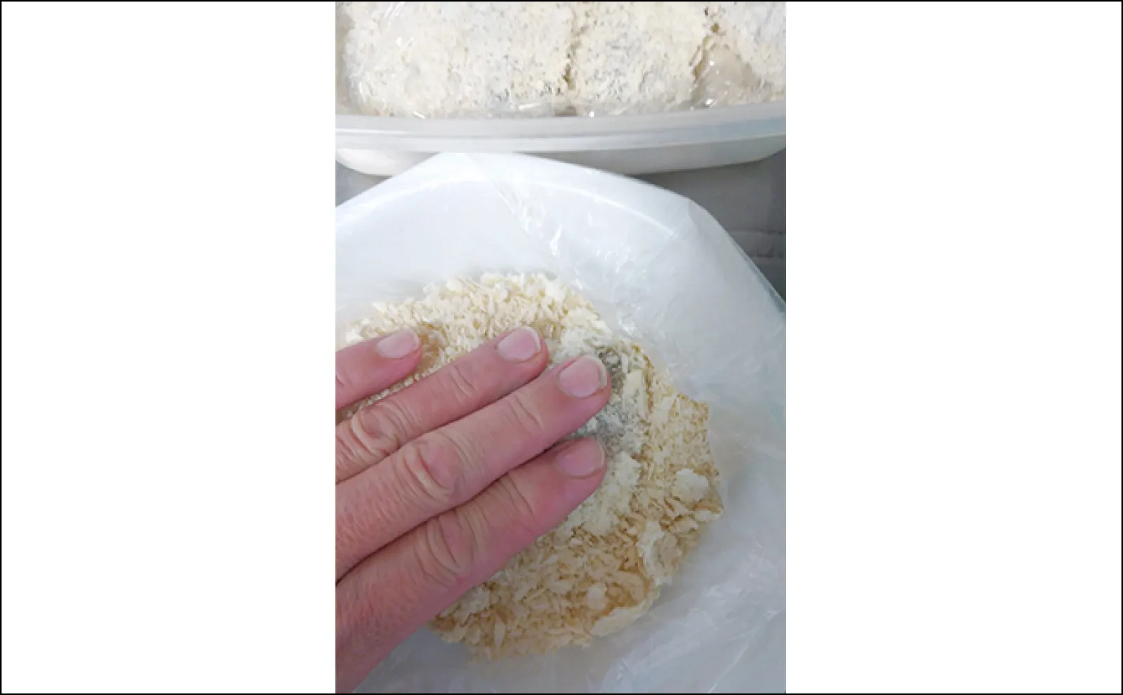 釣った大衆魚で作る「万能」レシピ:アジのカツレツ 揚げ焼きでOK