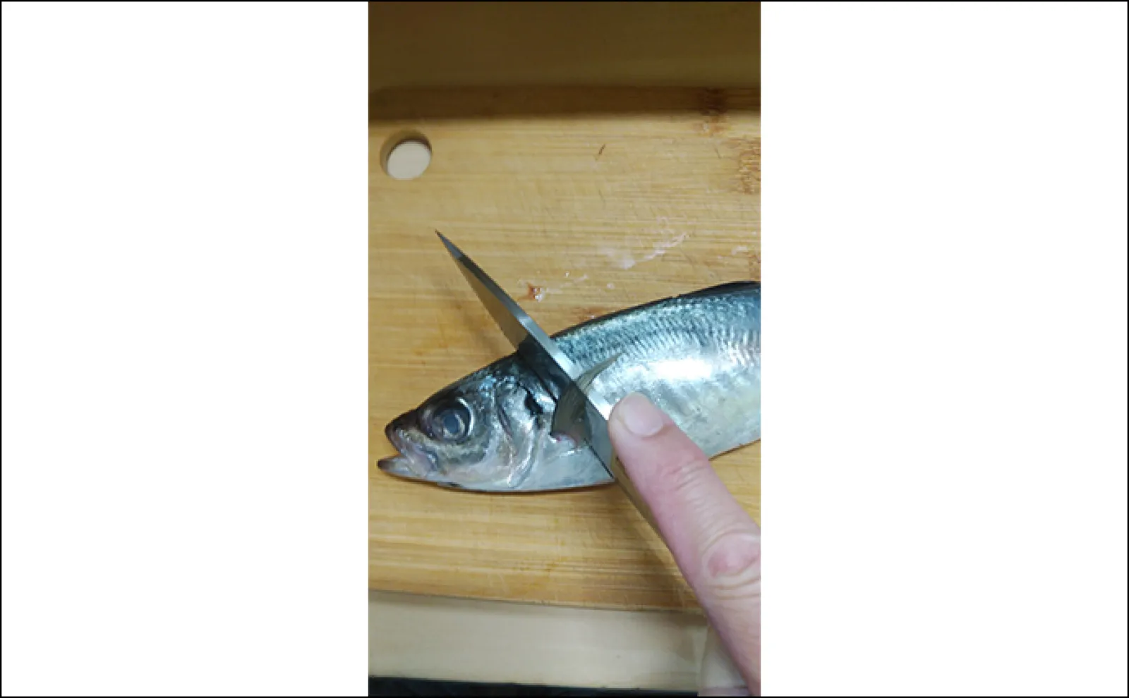 釣った大衆魚で作る「万能」レシピ:アジのカツレツ 揚げ焼きでOK