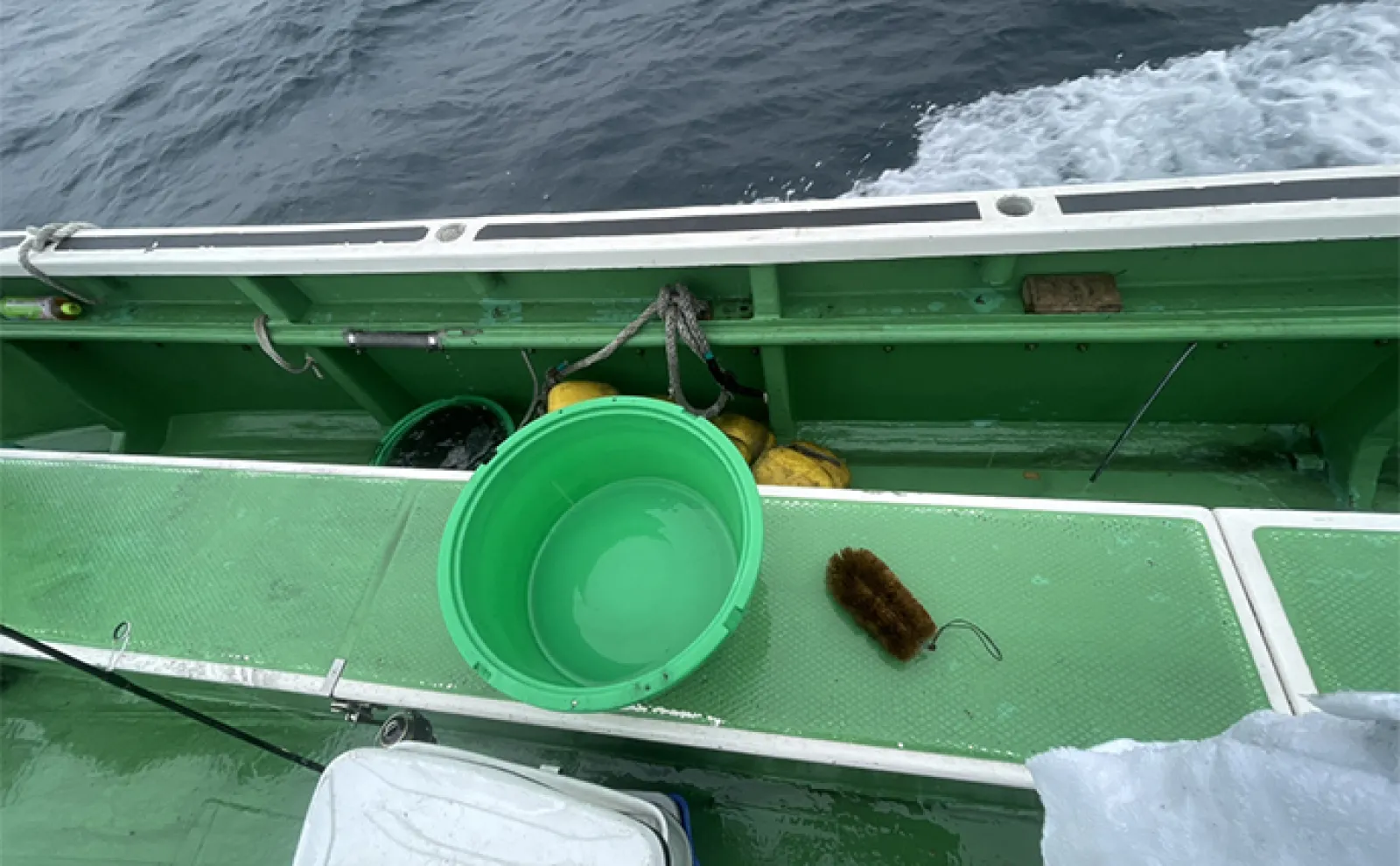「同じ沖釣りでも全然違う?」マイボートと遊漁船の釣り各々の魅力と注意点を紹介