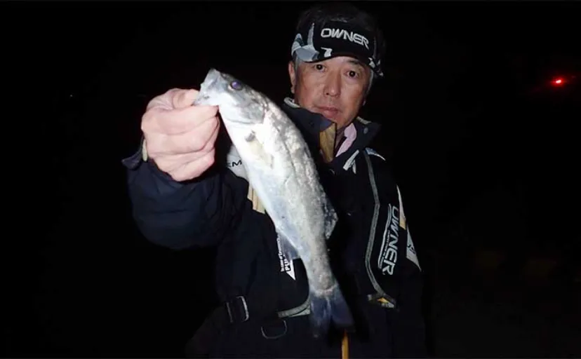 登立港での夜の電気ウキ釣りでセイゴ連発【熊本・天草】ゆっくり巻く誘いが的中