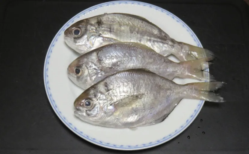 各地で「アゴナシ（顎無し）」と呼ばれる魚たち　その理由はさまざま？