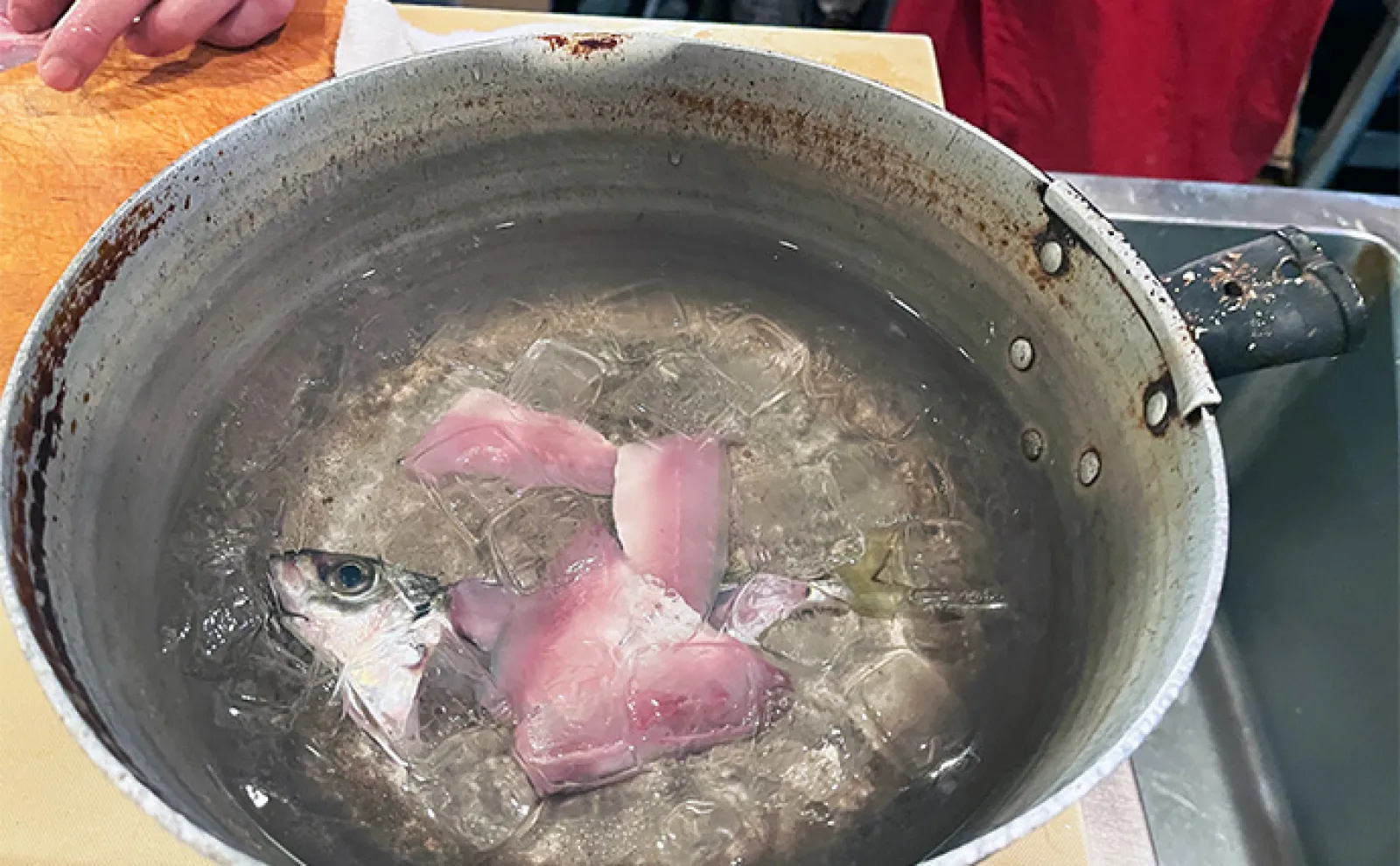 六本木の寿司店女将の仕入れ兼アジ釣りに密着 徹底的な鮮度管理は【冷温プレート】が決め手
