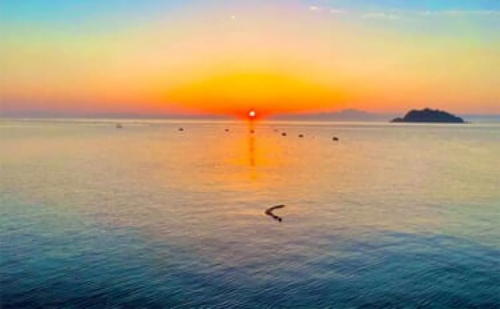 魚が釣れない時の気晴らし術３選　究極の手段は「釣りをしない」こと？
