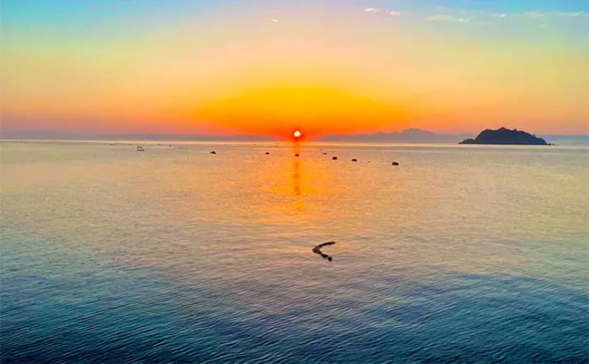 魚が釣れない時の気晴らし術３選　究極の手段は「釣りをしない」こと？