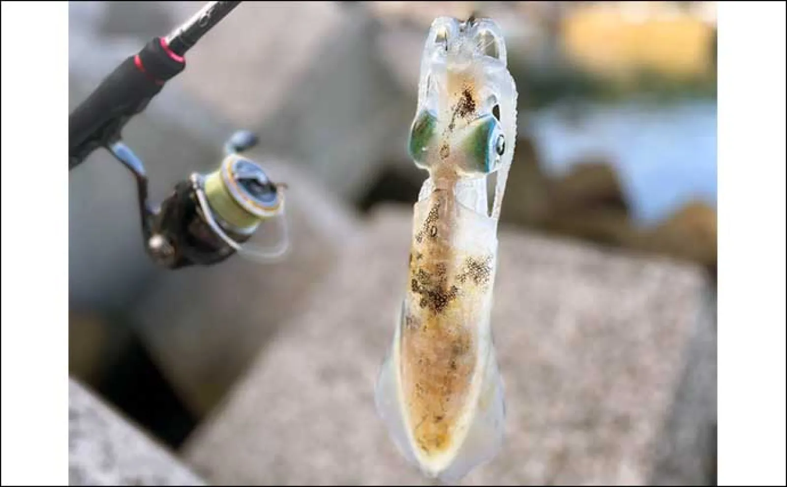 魚が釣れない時の気晴らし術3選 究極の手段は「釣りをしない」こと?