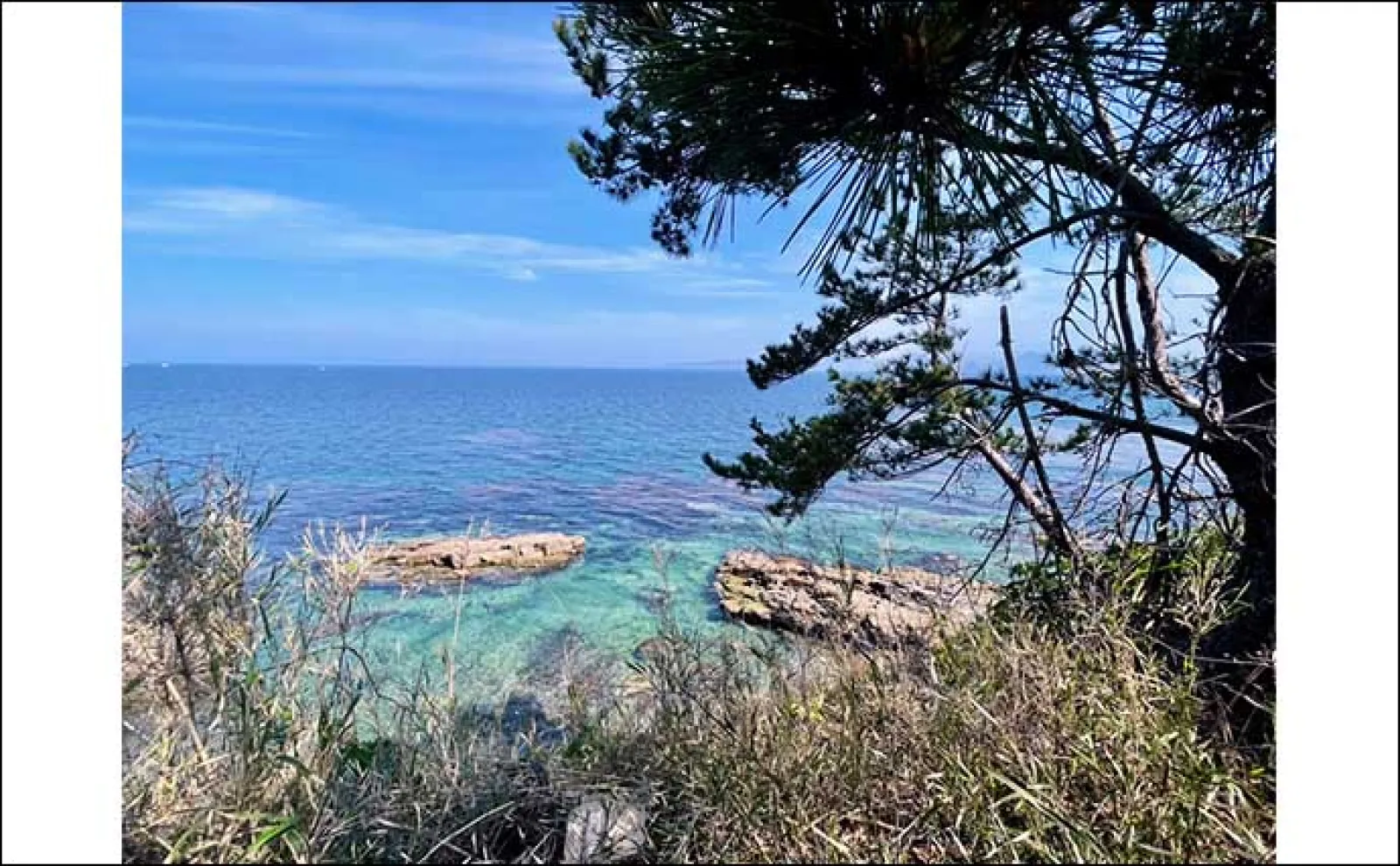 魚が釣れない時の気晴らし術3選 究極の手段は「釣りをしない」こと?