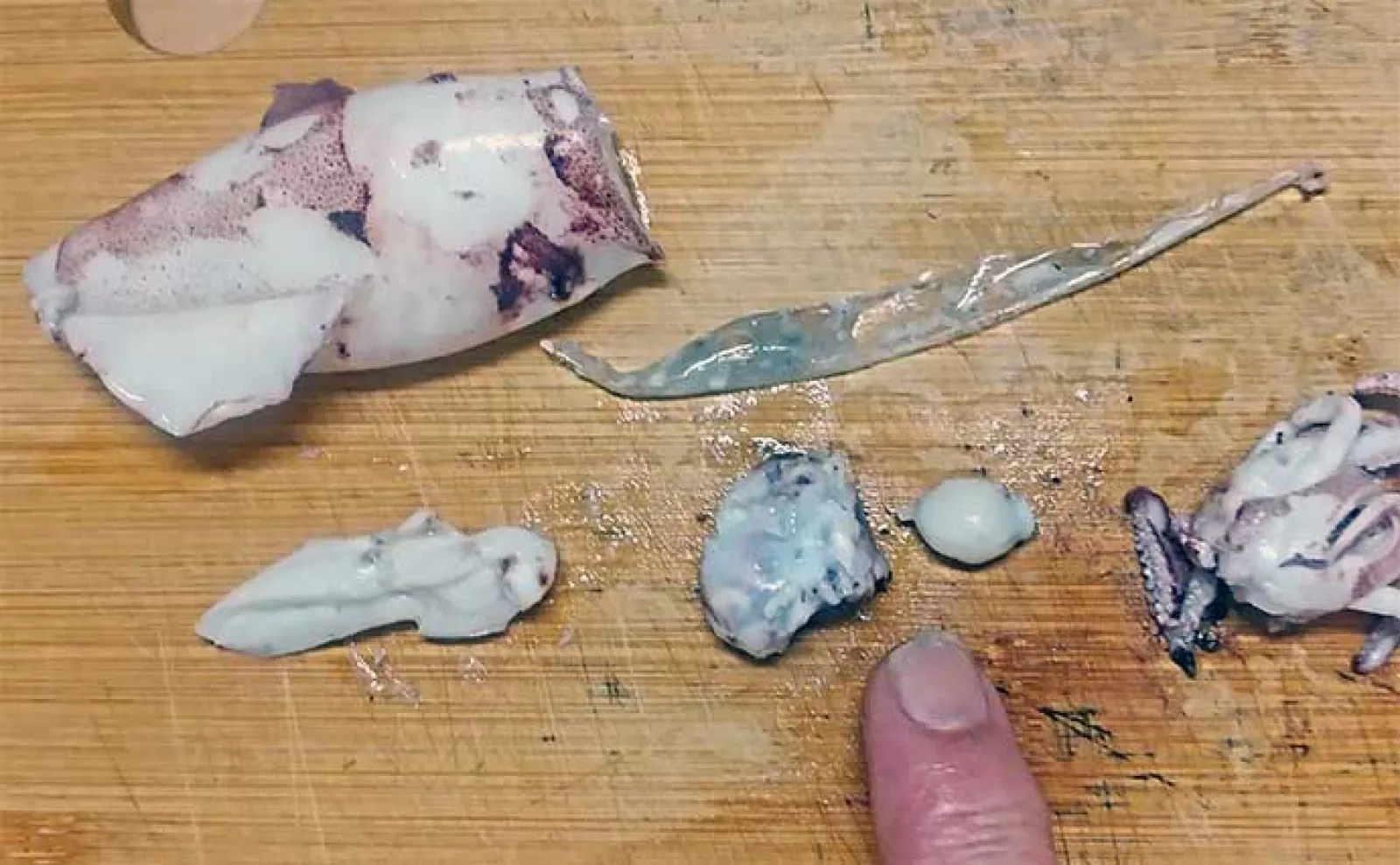 釣ったイカで作る「疲労回復」レシピ:小イカの酢ぬた 丸ごと調理がコツ