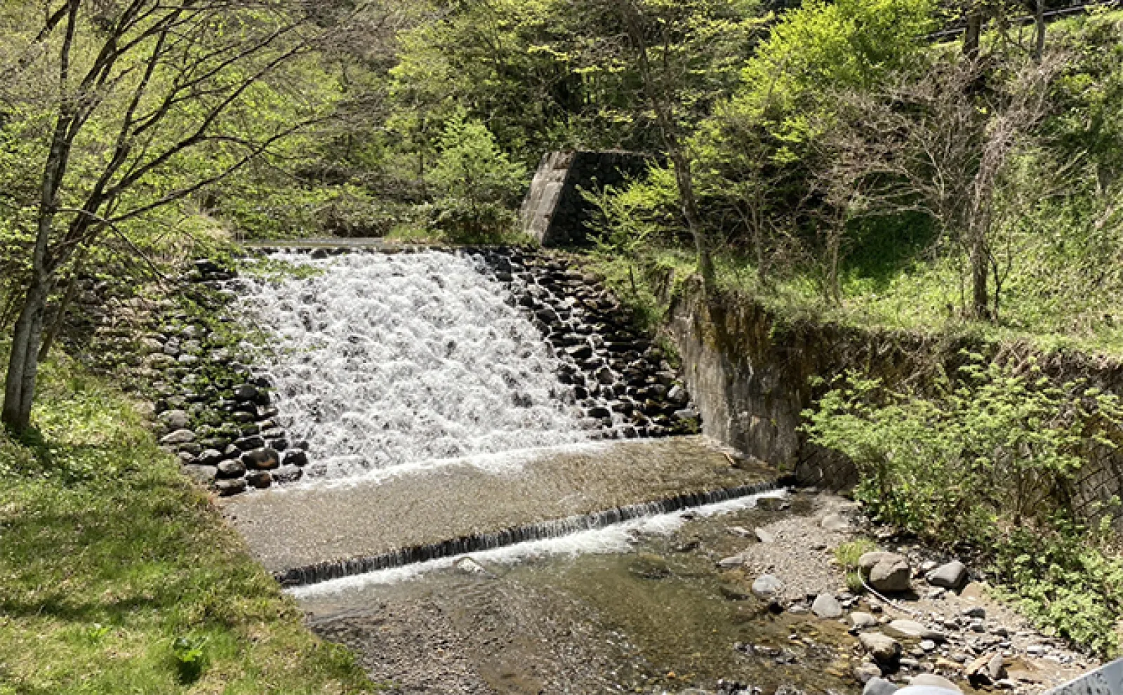 GWにおすすめの淡水釣り場：姫川上流の大出公園【長野・白馬村】