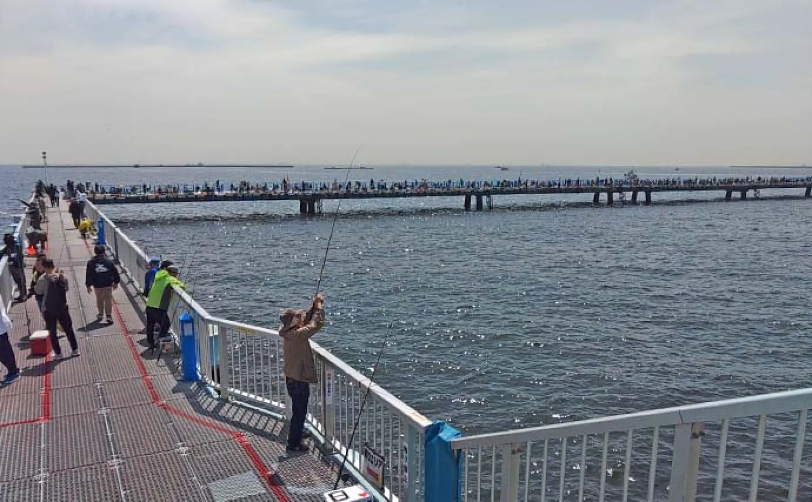 本牧海釣り施設でのさびき釣りでアジにイワシ【神奈川】マヅメ時にチャンス集中か