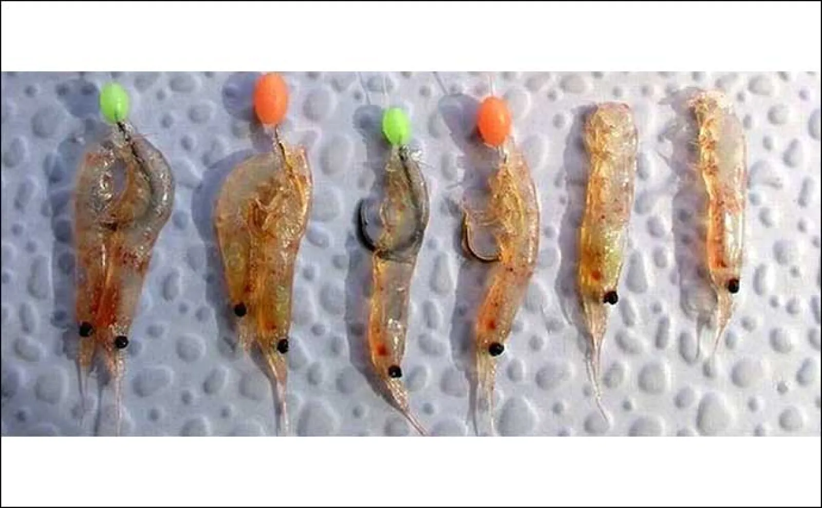 【完全フカセ】で狙うマダイ釣り徹底解説 初心者でも大型マダイやヒラマサが釣れる!