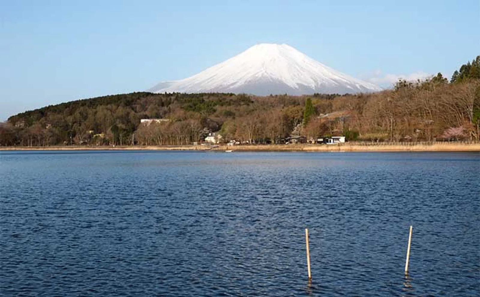今週のヘラブナ推薦釣り場2024【山梨県・山中湖】