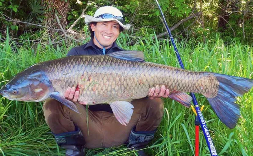 元荒川でのウキ釣りで122cm大型ソウギョをキャッチ【埼玉】食パンエサにヒット