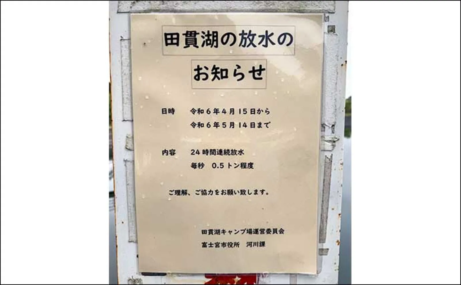 今週のヘラブナ推薦釣り場2024【静岡・田貫湖】