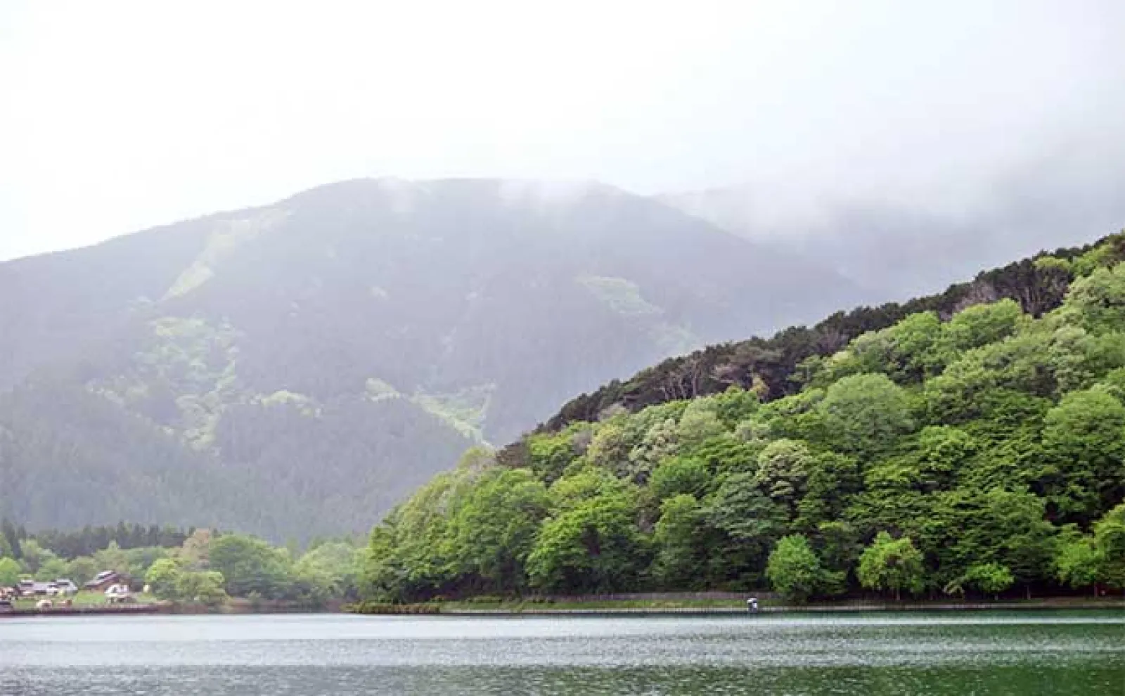 今週のヘラブナ推薦釣り場2024【静岡・田貫湖】