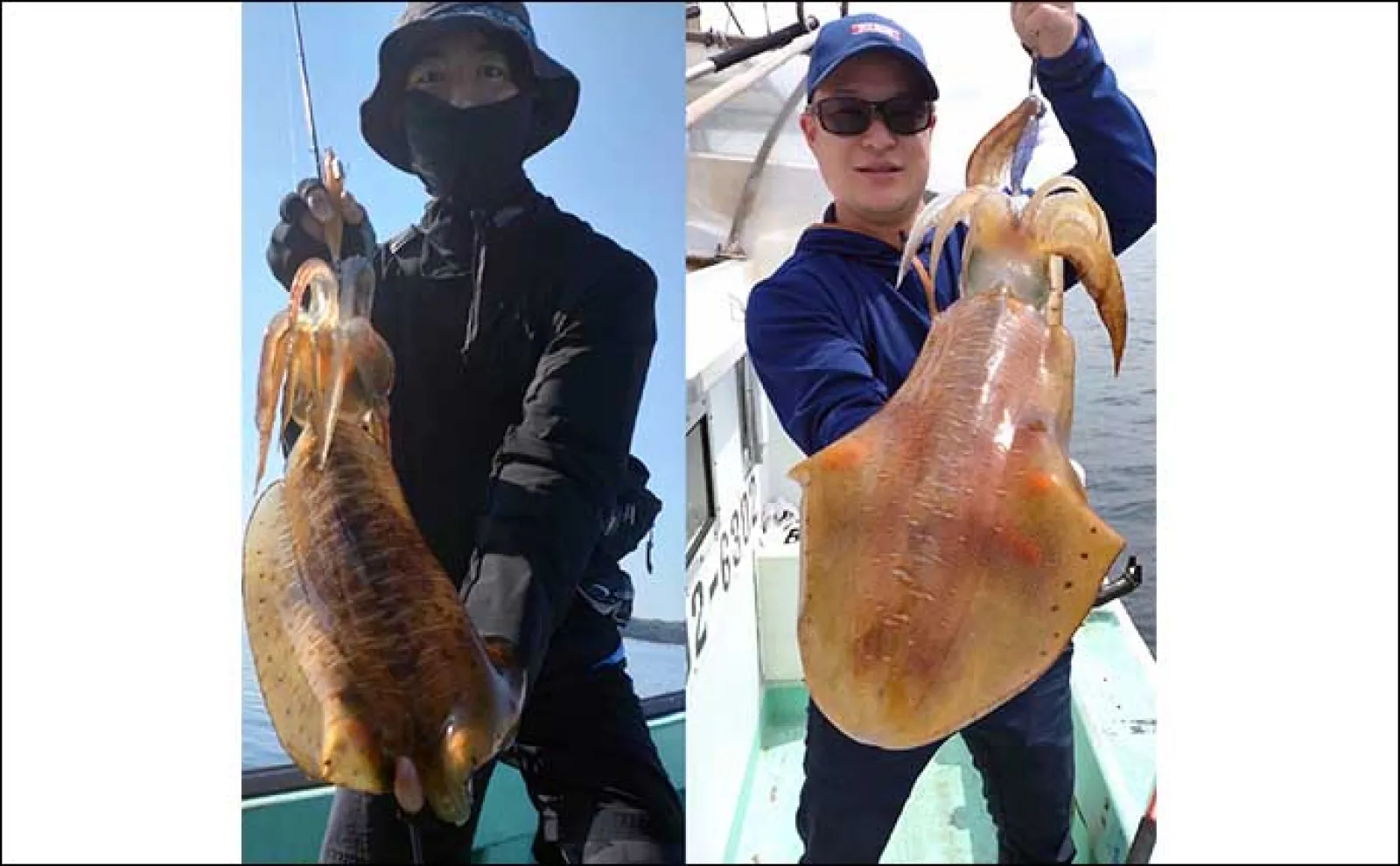 【沖のルアー釣り釣果速報】ボイル狙い撃ちで32kg大型ヒラマサ浮上(福岡)