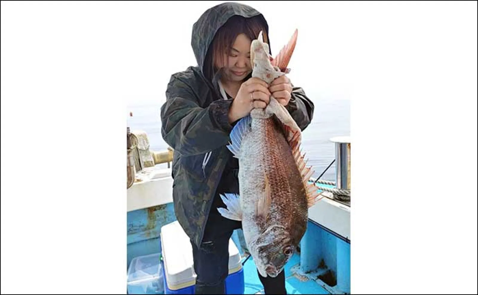 【沖のルアー釣り釣果速報】ボイル狙い撃ちで32kg大型ヒラマサ浮上(福岡)