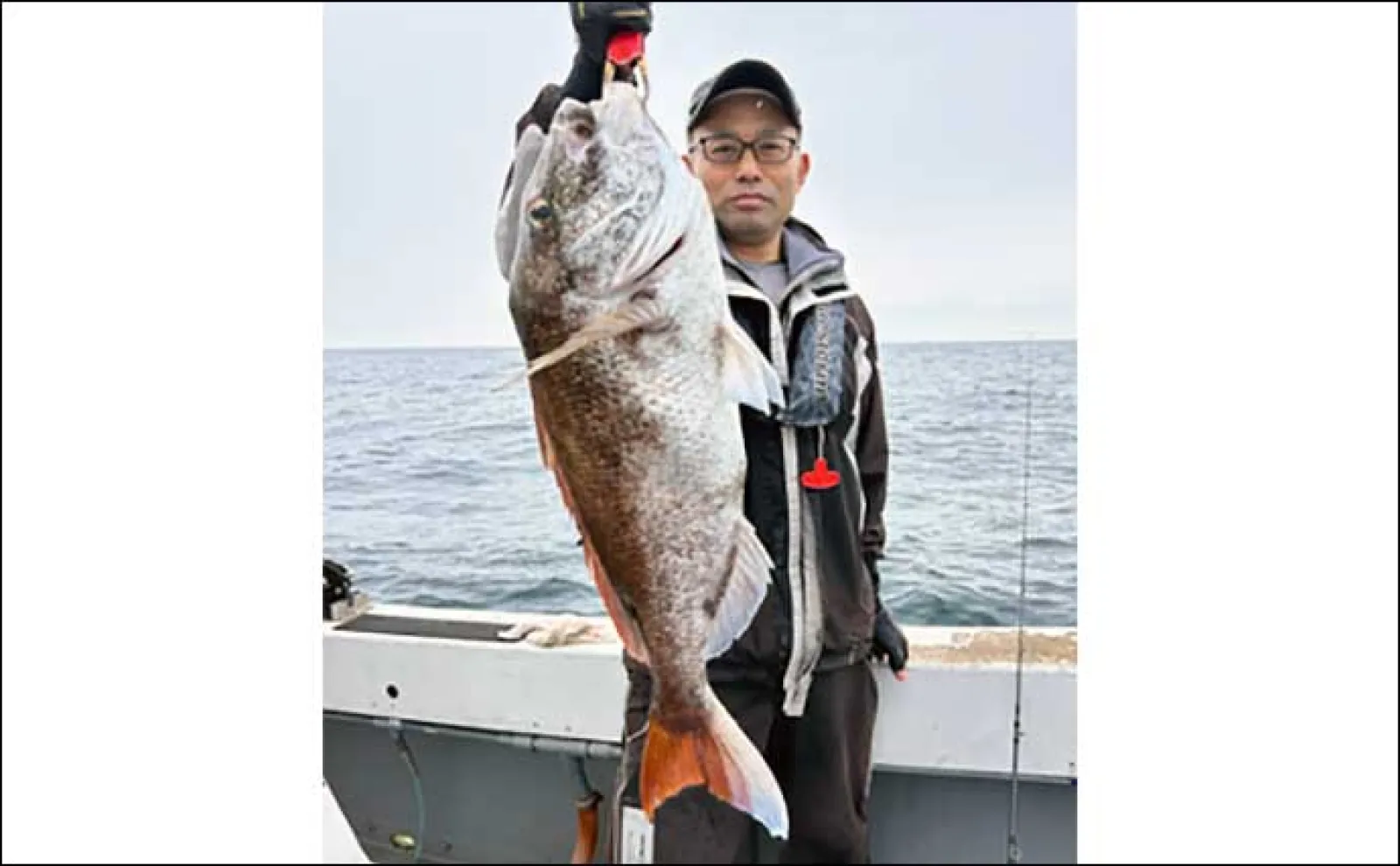 【沖のルアー釣り釣果速報】ボイル狙い撃ちで32kg大型ヒラマサ浮上(福岡)