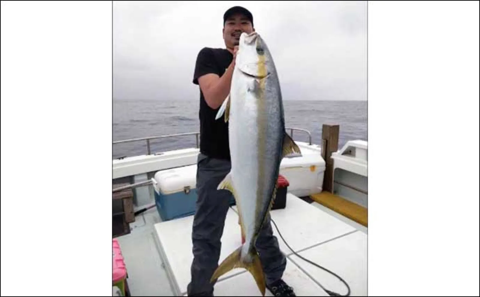 【沖のルアー釣り釣果速報】ボイル狙い撃ちで32kg大型ヒラマサ浮上(福岡)