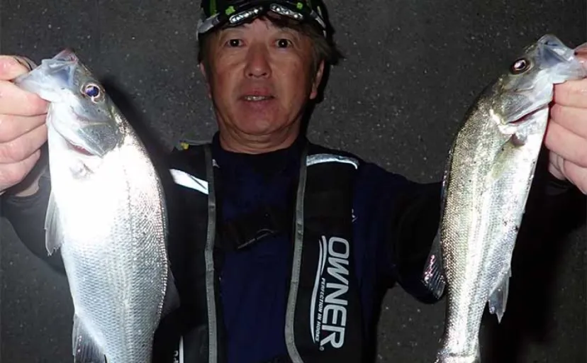 夜の電気ウキ釣りでヒラ＆マルセイゴ（スズキ）が連発【熊本・三角港】