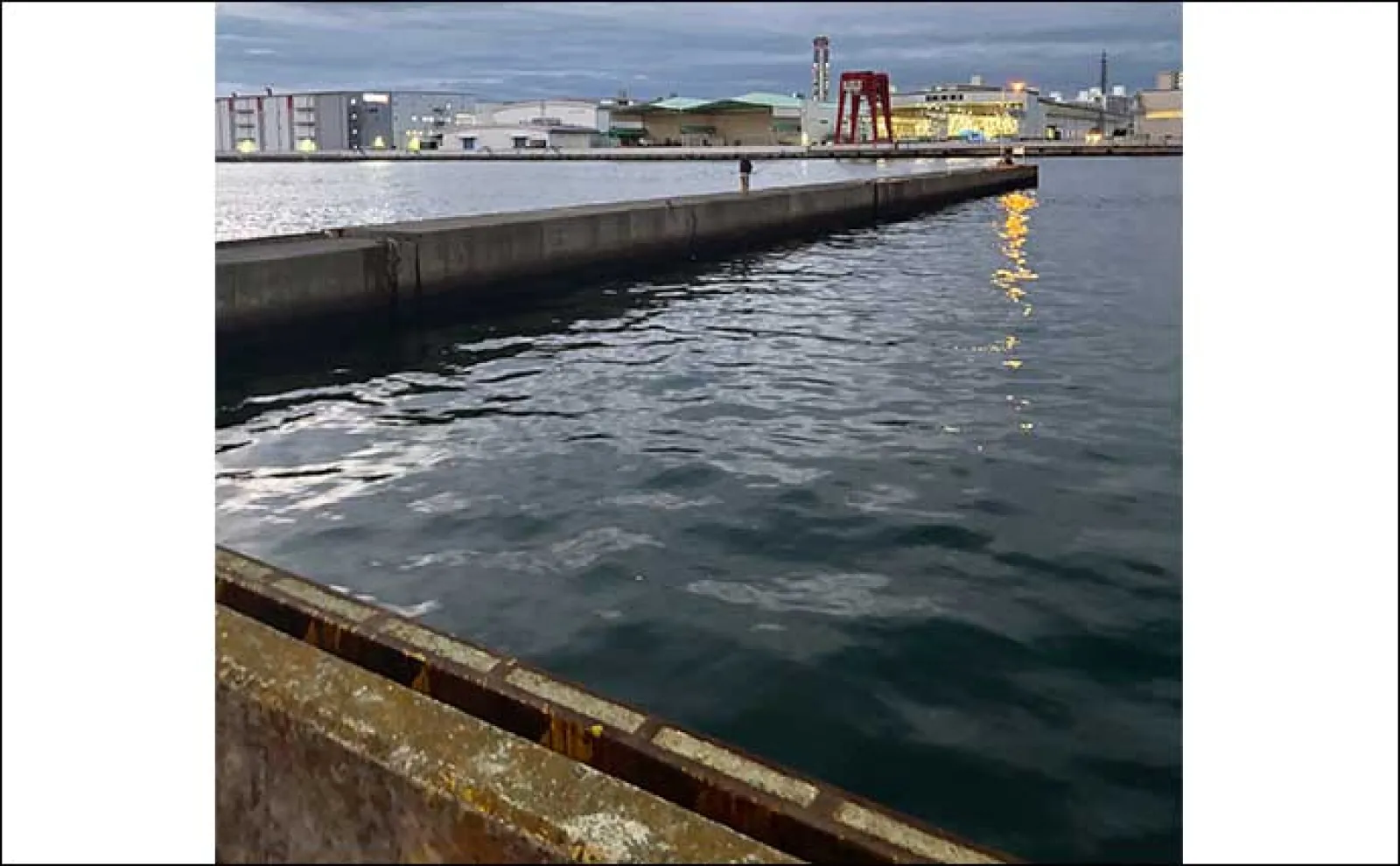 大阪南港釣り場紹介:フェリーターミナル横一本堤防 釣れる魚とエントリー方法を解説