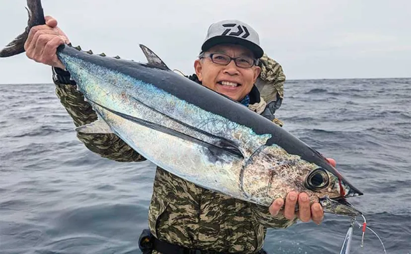 トンジギ釣行で小型ながらも本命マグロ2匹【三重】好ゲストのカツオは船中2桁