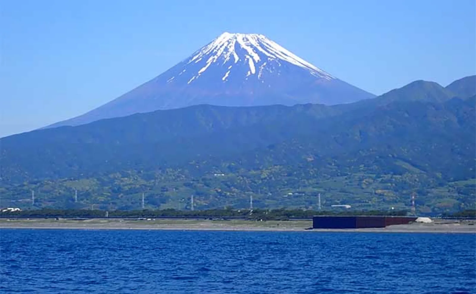 沼津沖オニカサゴ釣りで本命連打【静岡・城】効果発揮した「特エサ」とは?