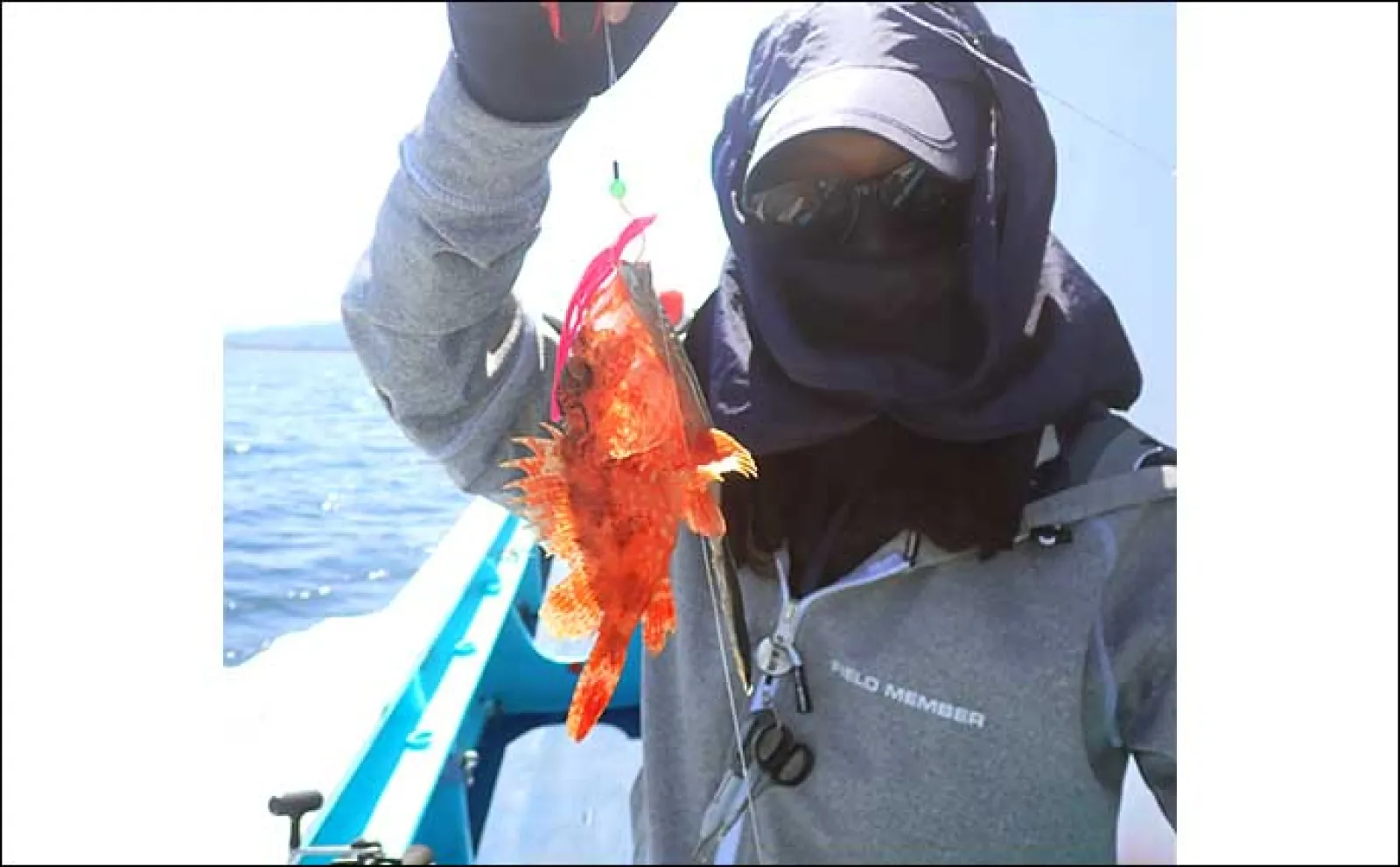 沼津沖オニカサゴ釣りで本命連打【静岡・城】効果発揮した「特エサ」とは?