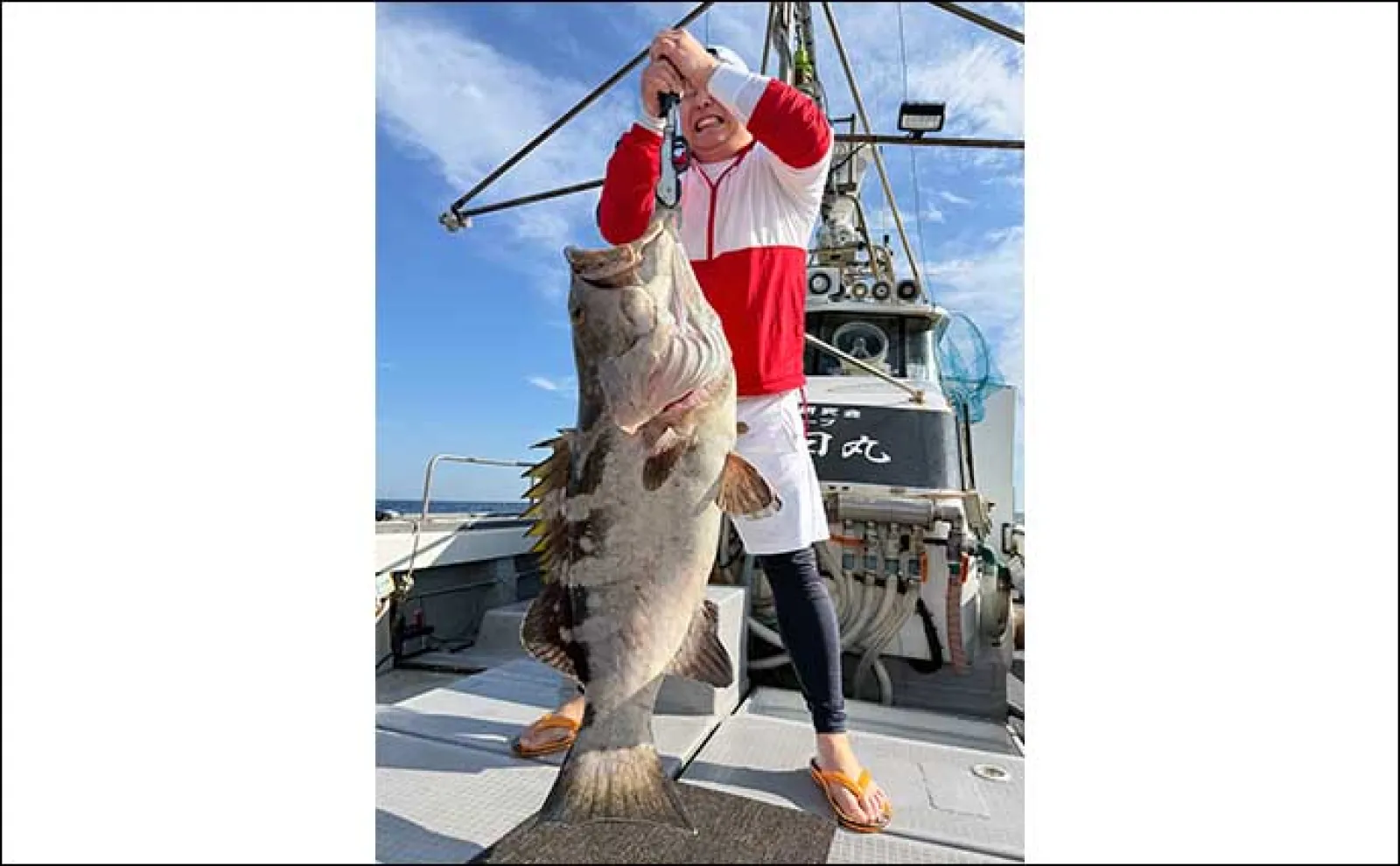 【船のエサ釣り最新釣果】イカを泳がせて10kgの高級魚アラ(クエ)をGET!