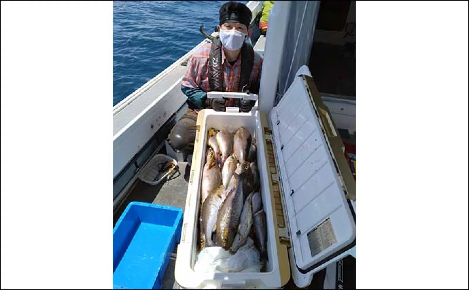 【船のエサ釣り最新釣果】イカを泳がせて10kgの高級魚アラ(クエ)をGET!