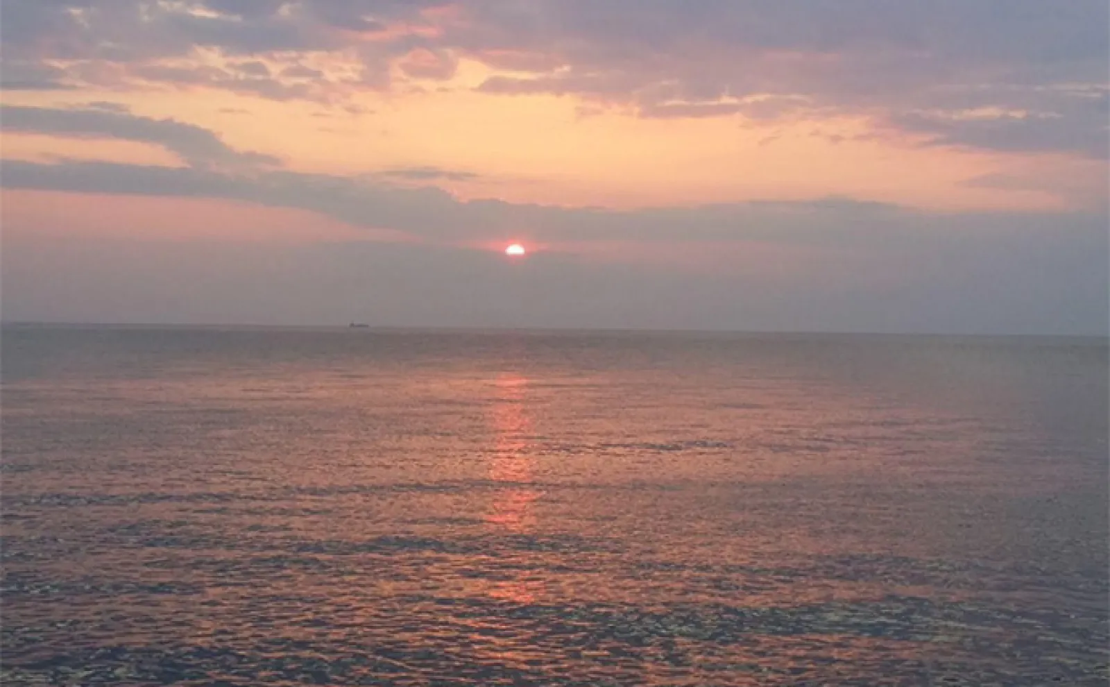 伊豆のアングラーがオススメする【夕日の絶景】が楽しめる釣り場紹介:妻良の堤防