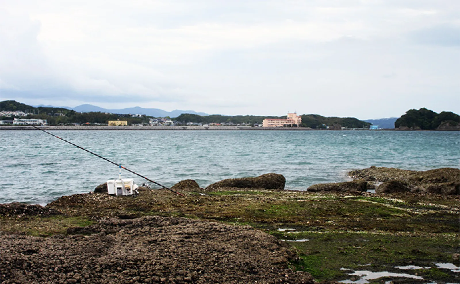 春の投げキス釣り攻略法 海藻の仕掛け絡み対策には「半遊動天秤」が効果的