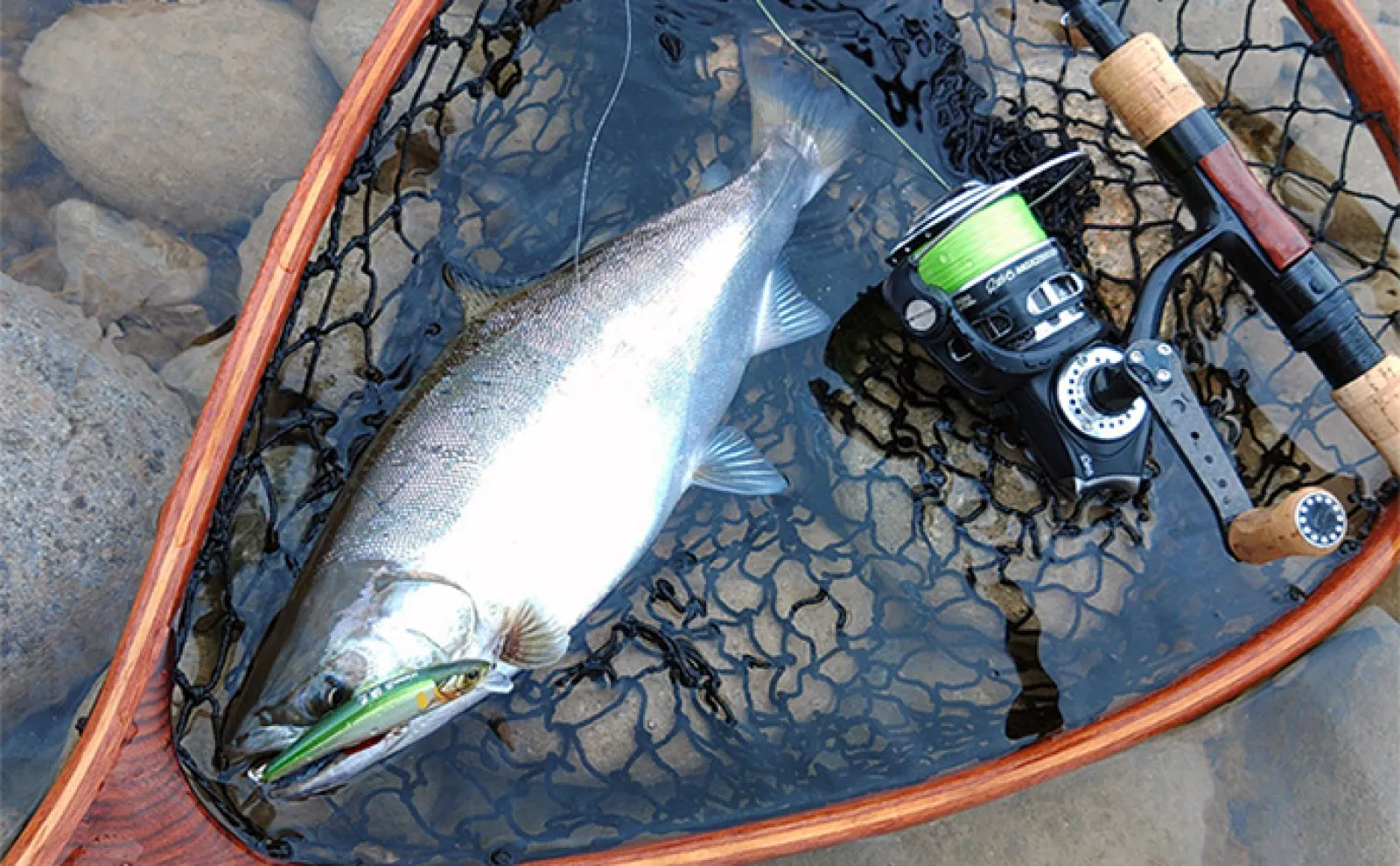 木曽川サツキマス釣りで35cm本命と対面成功 オールドタックル＆ミノー