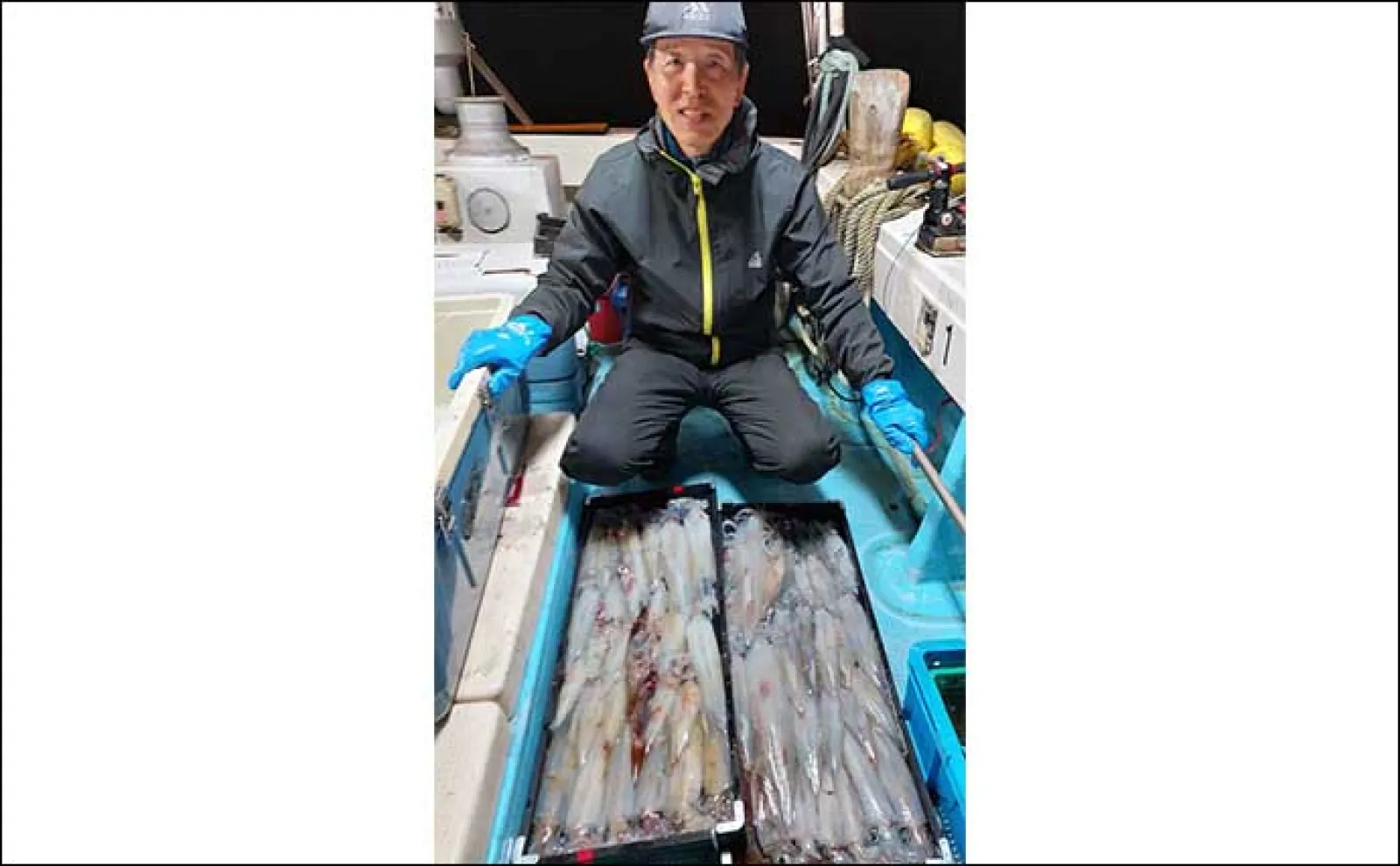 【夜焚きイカ釣果速報】釣れる日でヤリイカ80尾と調子上向き!(福岡)
