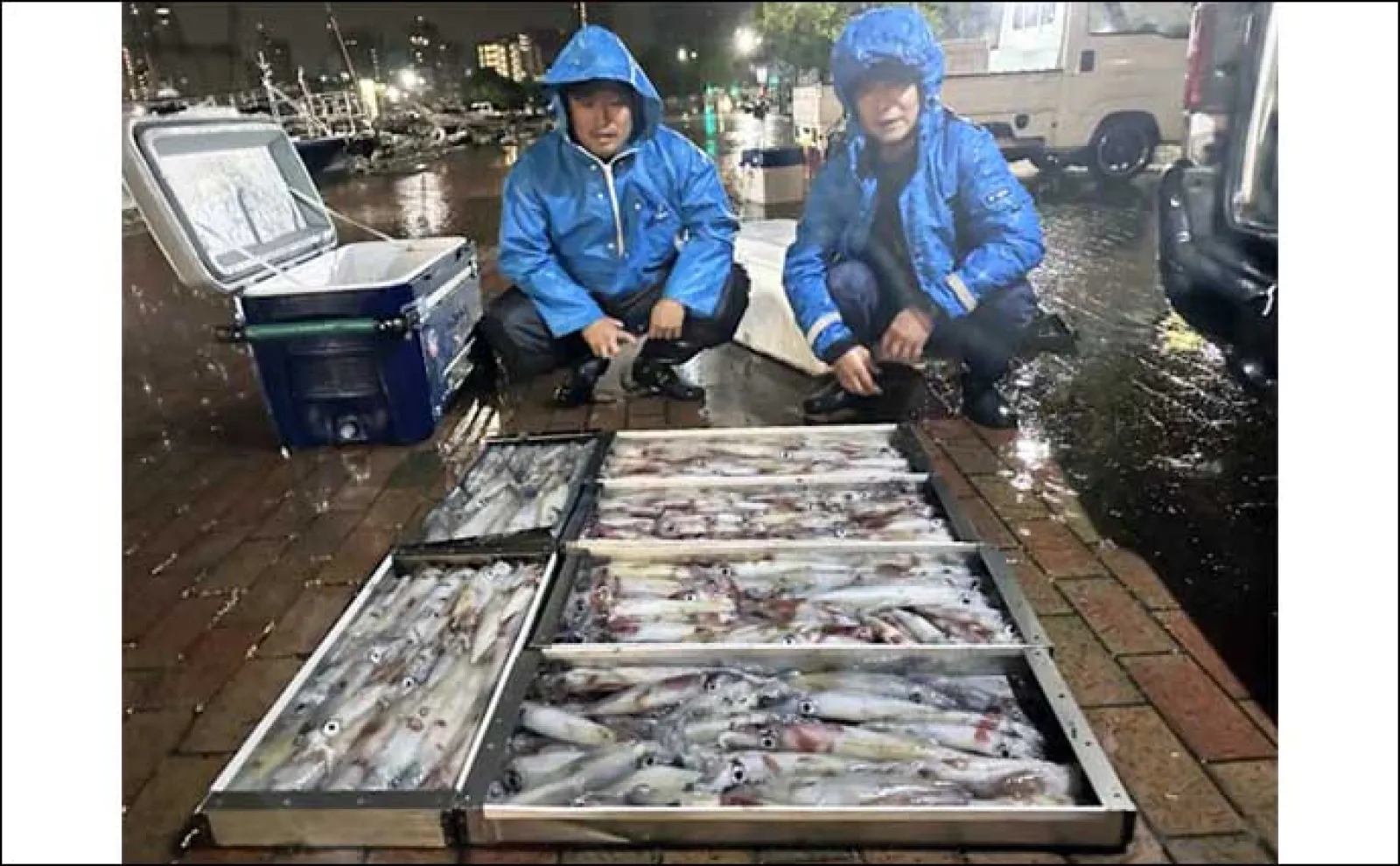 【夜焚きイカ釣果速報】釣れる日でヤリイカ80尾と調子上向き!(福岡)