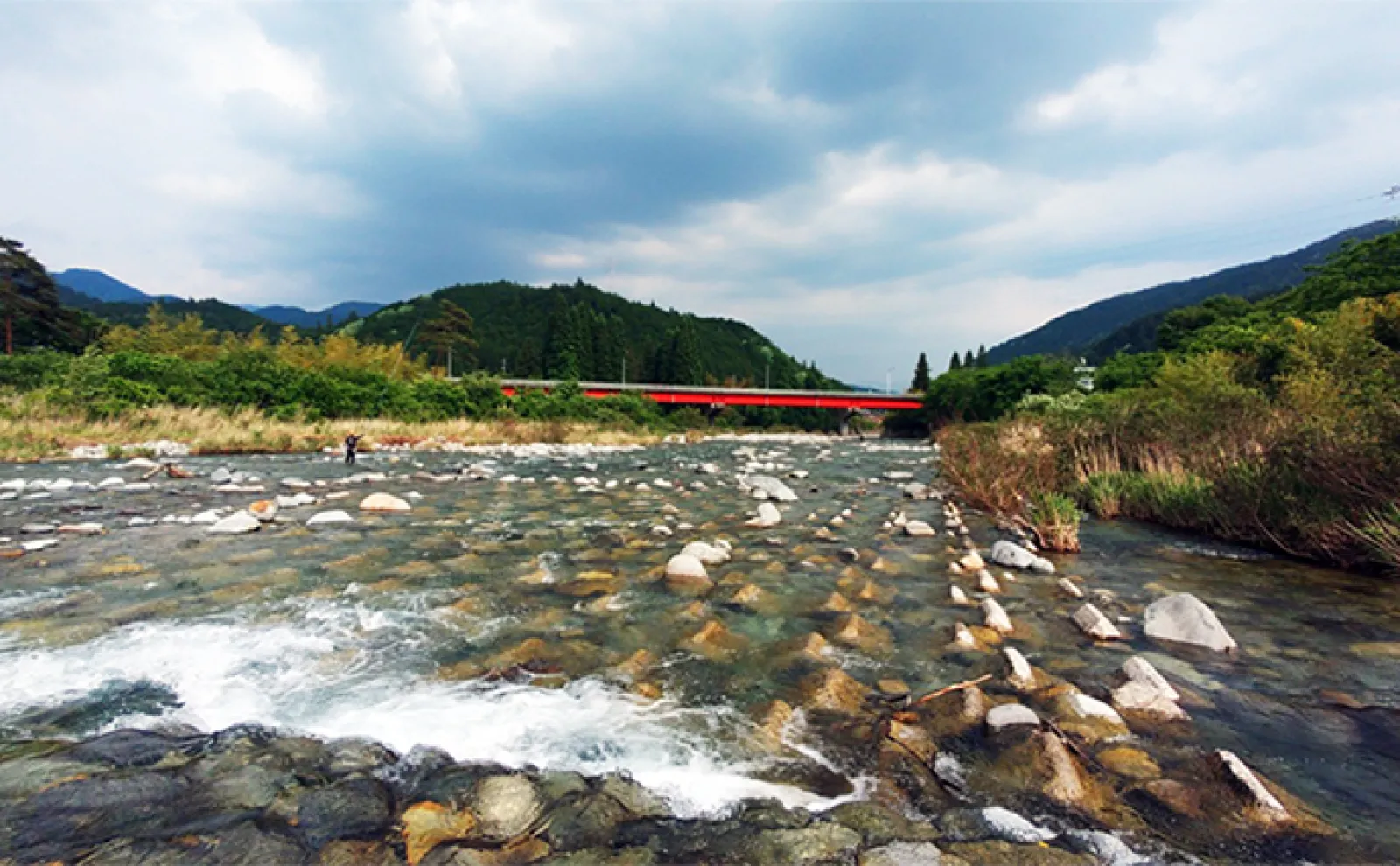 鮎(アユ)友釣りオススメ河川ガイド2024:中津川【岐阜】初期から数釣りが楽しめる
