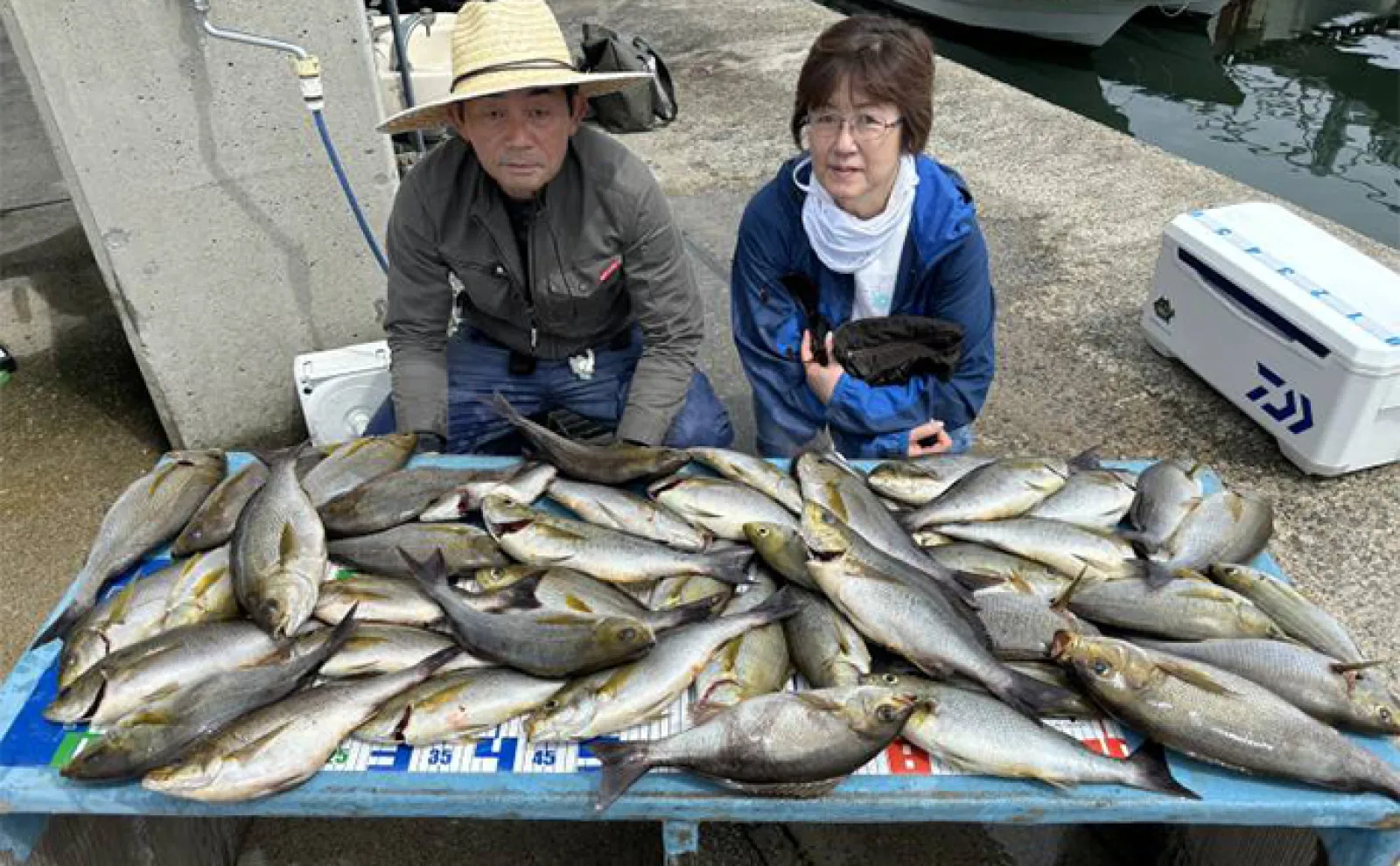 【船釣り釣果速報】大山沖でボリューム満点ジャンボイサキが絶好調(愛知)