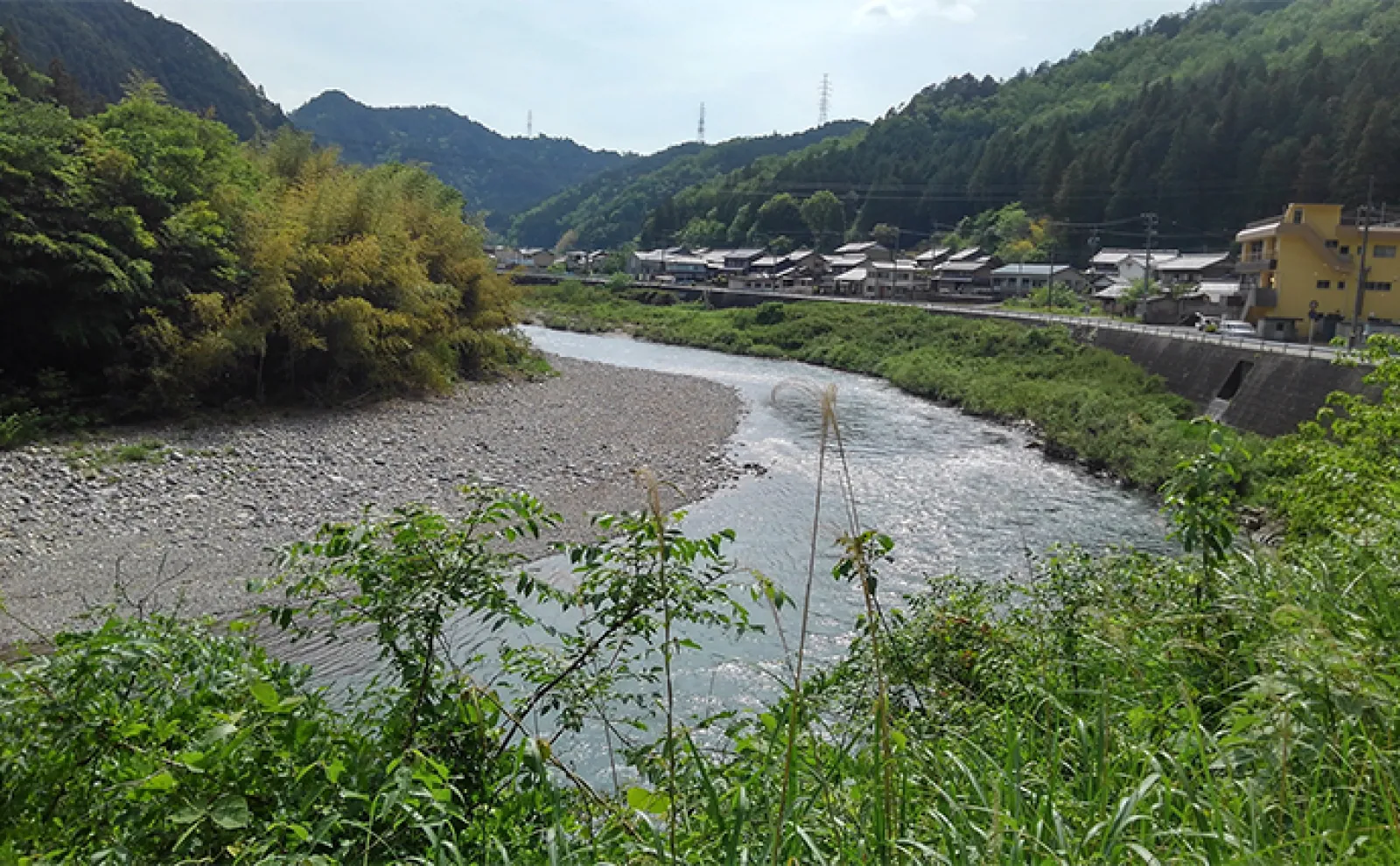 鮎（アユ）友釣りオススメ河川ガイド2024：長良川【岐阜】水温安定すれば本番