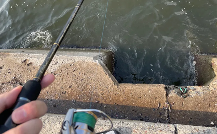 陸っぱりルアー釣りで【根掛かりを減らすコツ3選】　浮遊物にも注意が必要？