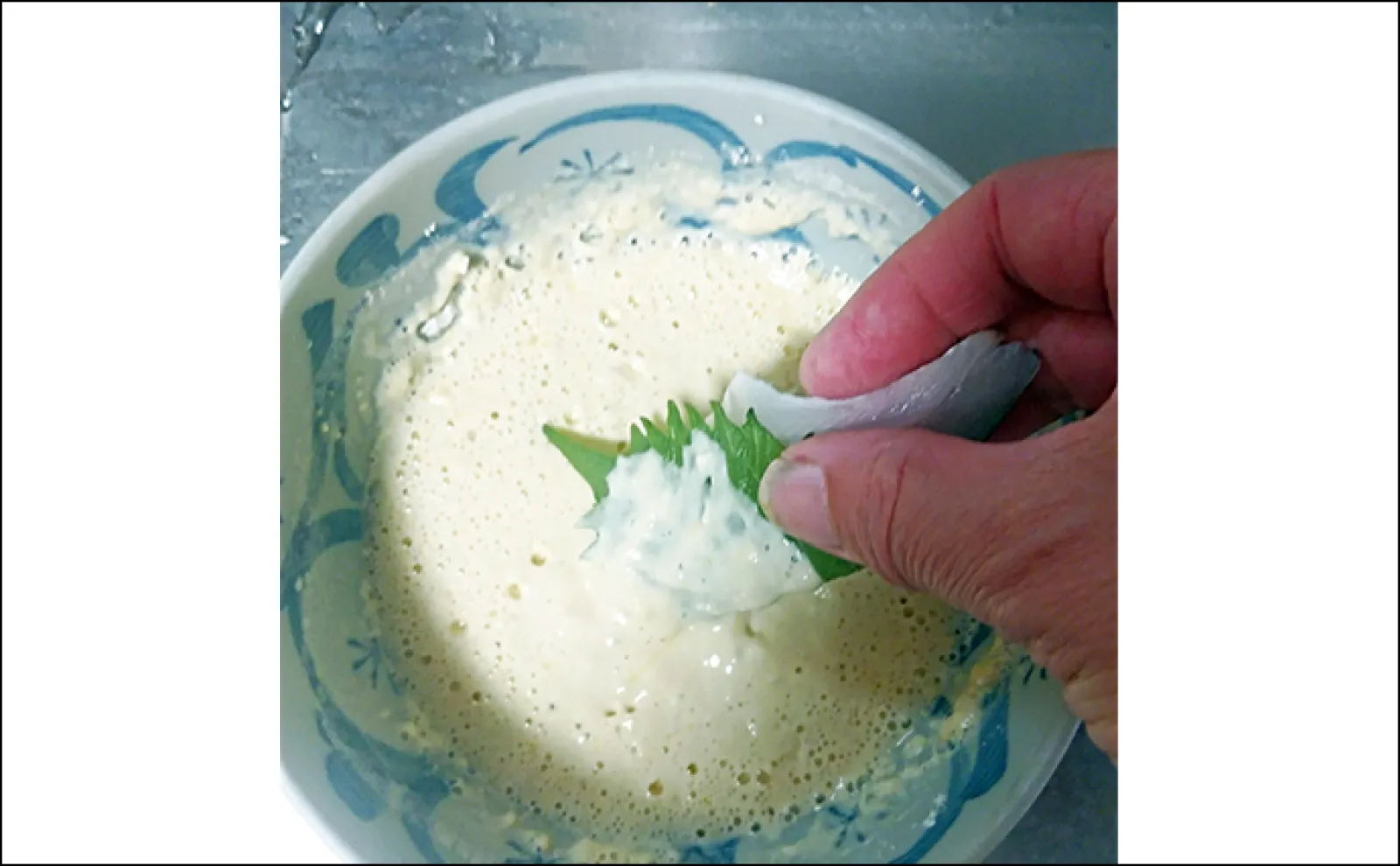 釣魚で作る「ビールのつまみ」レシピ:セイゴの青じそ揚げ 打ち粉で脂はね防止
